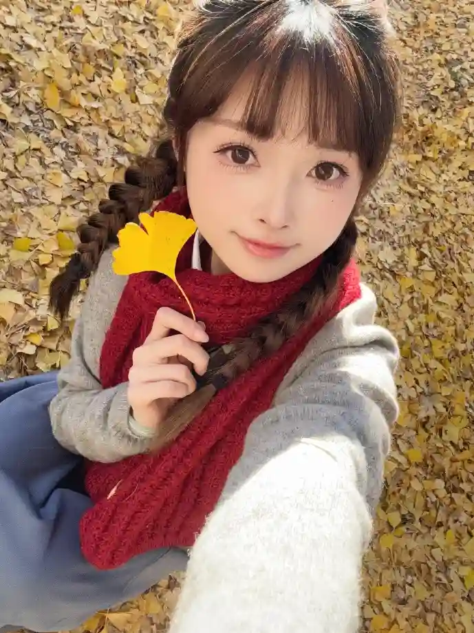 猎鹰 下载数据分析